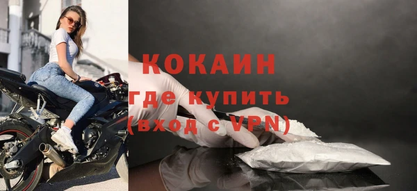 прущие грибы Абдулино