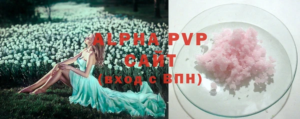 прущие грибы Абдулино