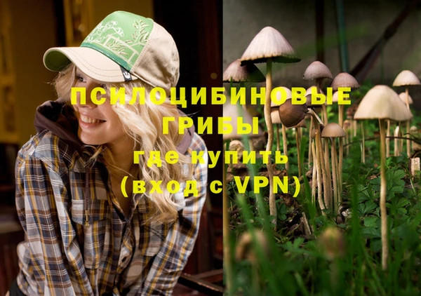 прущие грибы Абдулино