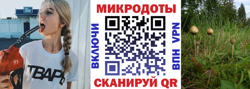 закладка Спас-Клепики darknet телеграм Галлюциногенные грибы Psilocybine cubensis